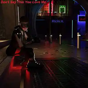 Picture for song 'Don't Say This You Love Me' by artist 'Richi.h.'