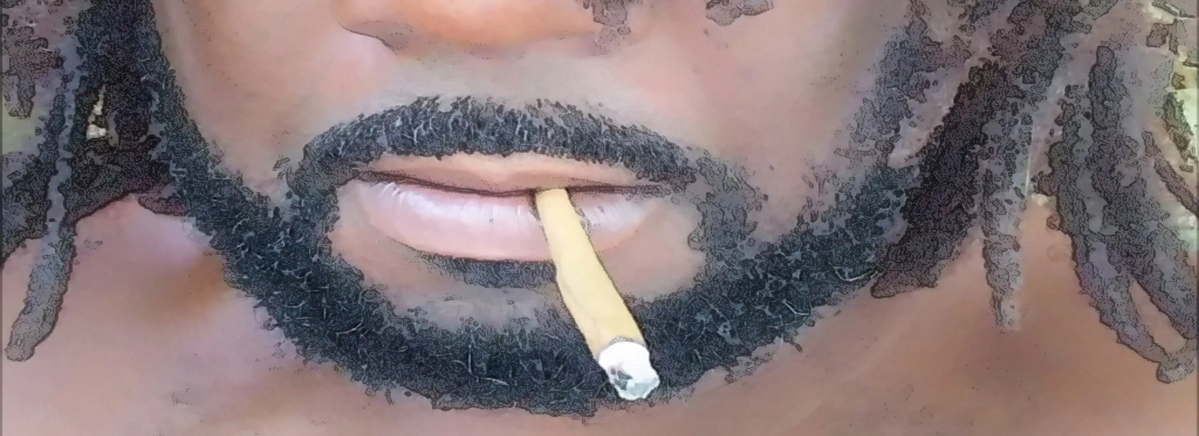 cover pic