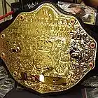 Picture for song '#FIRE | Champion | Free DL' by artist 'Da Supplier'