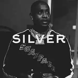 Picture for song 'Silver (Hard, Dark, Trap Type Beat)' by artist 'DRUG RICH'