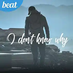 Picture for song 'Boom Bap Rap Beat I DON'T KNOW WHY' by artist 'FIRSTCLASS BEATS'