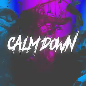 Picture for song 'CALM DOWN [RAPBEAT] - HYEZBEATS' by artist 'HYEZ Beats'