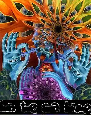 Picture for song 'Patient Demo Party' by artist 'Lateralice'