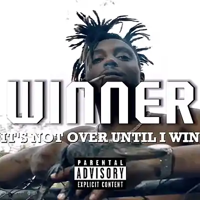 Picture for song 'WINNER' by artist 'lawsty'