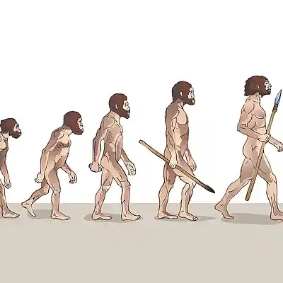 Picture for song 'Évolution' by artist 'LES GARS DU WOOD'