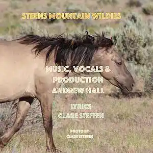 Picture for song 'Steens Mountain Wildies (feat. Andrew Hall) [Celti' by artist 'Round The Globe'