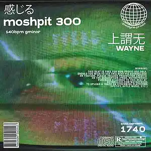 Picture for song 'moshpit 300' by artist 'wayne.prods'
