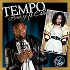 Picture for song 'Amaze ft Esha_TEMPO(Amaze & Steelforce partymix)' by artist 'Amaze the Icon'