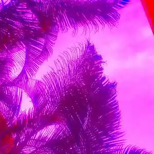 Picture for song '[FREE] Murda Beatz Type Beat [prod.by big ocean]' by artist 'big ocean beats'