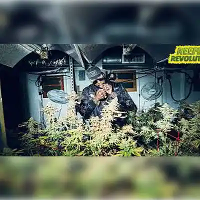 Picture for song 'Future x DeeBaby Type Beat "3Point5"' by artist 'Trackmatic 850'