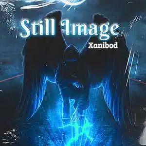 Picture for song 'Still Image' by artist 'Xanibod'