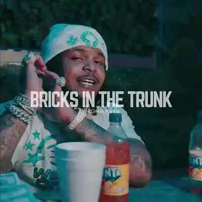 Picture for song 'Bricks In The Trunk' by artist '183realchance'