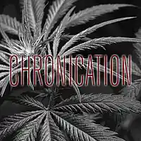 Picture for song 'CHRONICTATION' by artist 'Bedford'