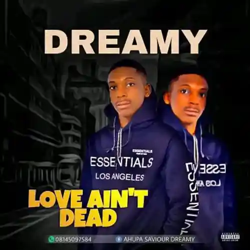 Picture for song 'dreamy mummy' by artist 'Dreamy'