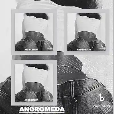 Picture for song 'DRAKE X SMINO Type Beat "Polynasia"' by artist 'Dredbeat'