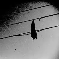 Picture for song 'Pushin Too Hard' by artist 'Hamsun's Hunger'