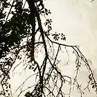 Picture for song 'horror' by artist 'vartaburger'