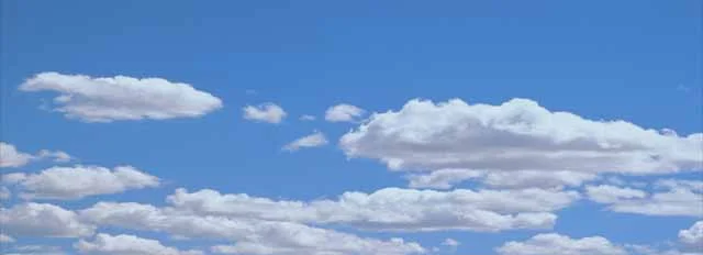 cover pic