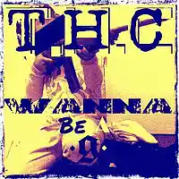 Picture for song 'The Hustle Camp - Wanna Be A Gee' by artist '2Much Music (SS)'