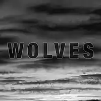 Picture for song 'WOLVES' by artist 'Bedford'