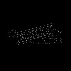 Picture for song 'Drake and Noah 40 Type Beat Prod. by BlueJay' by artist 'BlueJayOnTheTraxx'