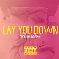 Picture for song 'Lay You Down' by artist 'Divinyl Beats'