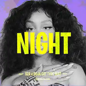 Picture for song '[ R&B x Trapsoul ] - Night' by artist 'Hido'