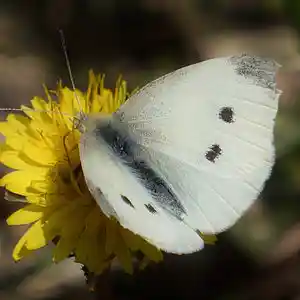 Picture for song 'your hand' by artist 'Mattila'