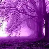 Picture for song 'harmony' by artist 'NazztyEnt.'