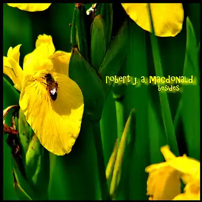 Picture for song '5 wendy of the autumn wind' by artist 'robertjamacdonald'