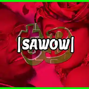 Picture for song 'Sawow Weird Cardi B x Offset Type Beat 101BPM' by artist 'tB HealthySickness'