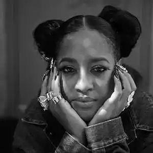 Picture for song 'Lazy Dayz' by artist 'The Soul Society Beatz'