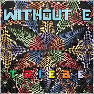 Picture for song 'TRIEBE' by artist 'WITHOUT E'