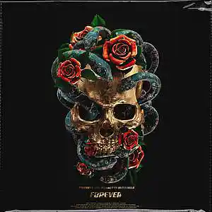 Picture for song 'FOREVER' by artist 'Alexx Melo'