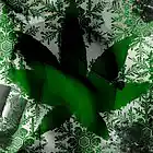 Picture for song 'Rock Salt' by artist 'Cannabis Sativa'