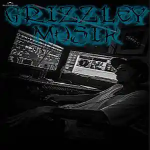 Picture for song 'You don't know me' by artist 'GrizzleyMusikRecords'