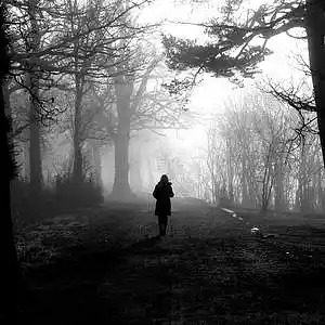 Picture for song 'Standing There' by artist 'Leonard Scaper'