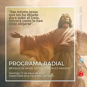 Picture for song 'Solemnidad de la Ascencion del Señor, 12 mayo' by artist 'Producciones Vandor'