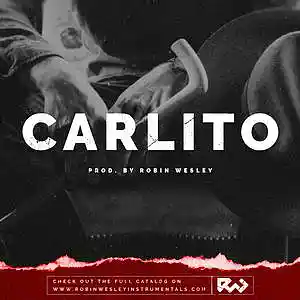 Picture for song 'Carlito' by artist 'Robin Wesley'