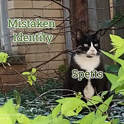 Picture for song 'Mistaken Identity' by artist 'Spetts'