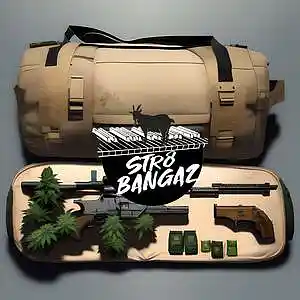 Picture for song 'standard gas' by artist 'Swagdot Beatz'