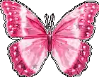Picture for song 'Butterfly' by artist 'T.J.H.E.'