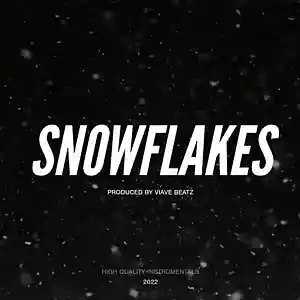 Picture for song 'Snowflakes - Storytelling Piano Hip Hop Type Beat' by artist 'Viave Beatz'
