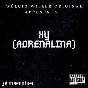 Picture for song 'XY (Adrenalina)' by artist 'Welcio Willer'