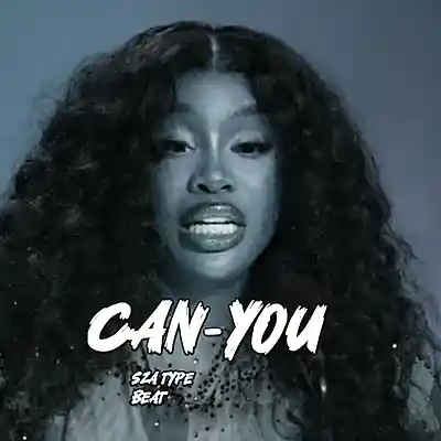 Picture for song 'Can You' by artist 'Whillzkninabeats'