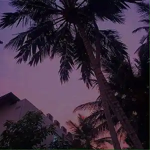 Song picture