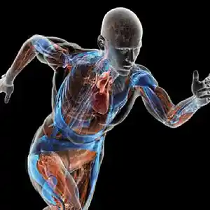 Picture for song 'Real Eyes Realize Real Lies' by artist 'Eric Dubay'