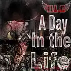 Picture for song '05. Lunatic ft. Don Karnage' by artist 'ILL Cash'