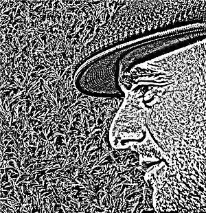 Artist picture