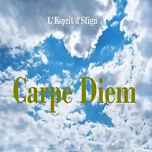 Picture for song 'Desert Symphony' by artist 'L'Esprit d'Sfign'